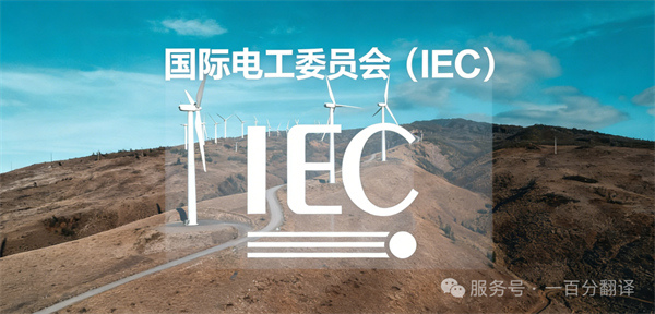 中外標準咨詢服務 中外標準咨詢服務